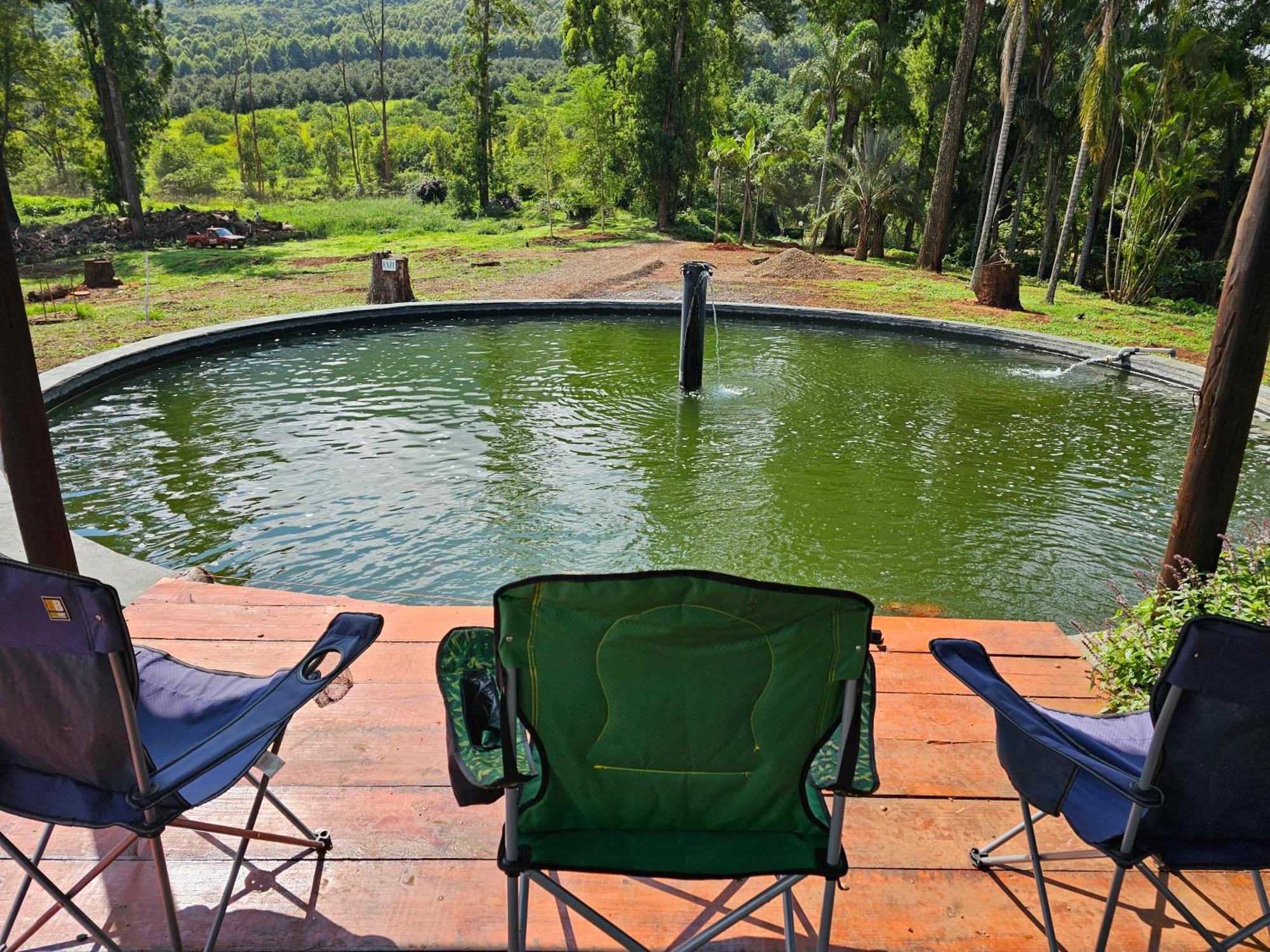 Pecan Farm Guesthouse Louis Trichardt Kültér fotó